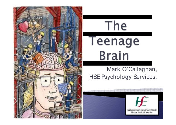 mark o callaghan hse psychology services