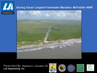 Saving Texas Largest Freshwater Marshes: McFaddin NWR Presented By: Stephanie L. Gonzales, PE