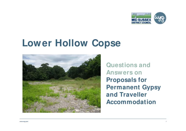 lower hollow copse