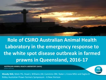 Role of CSIRO Australian Animal Health  Laboratory in the emergency response to  the white spot