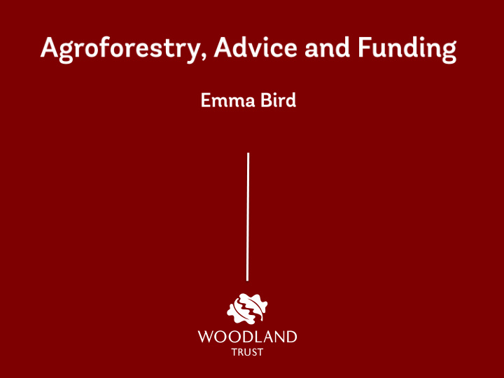 how the woodland trust can help