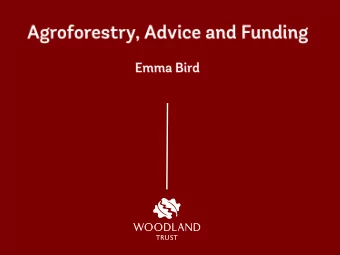 How the Woodland Trust can help  Agroforestry /PUR  MOREwoods  MOREhedges  Tree packs