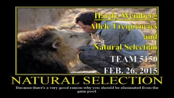 What is Gene  Selection?  Frequency?  The process by which forms of life  Gene frequency is the