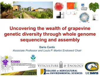 Uncovering the wealth of grapevine  genetic diversity through whole genome  sequencing and assembly