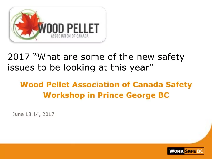 2017 what are some of the new safety issues to be looking