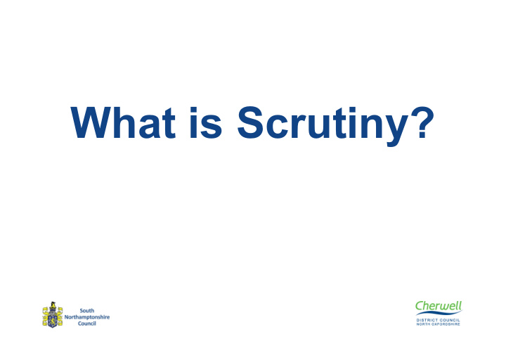 what is scrutiny scrutiny committees have the following