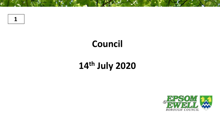 council 14 th july 2020