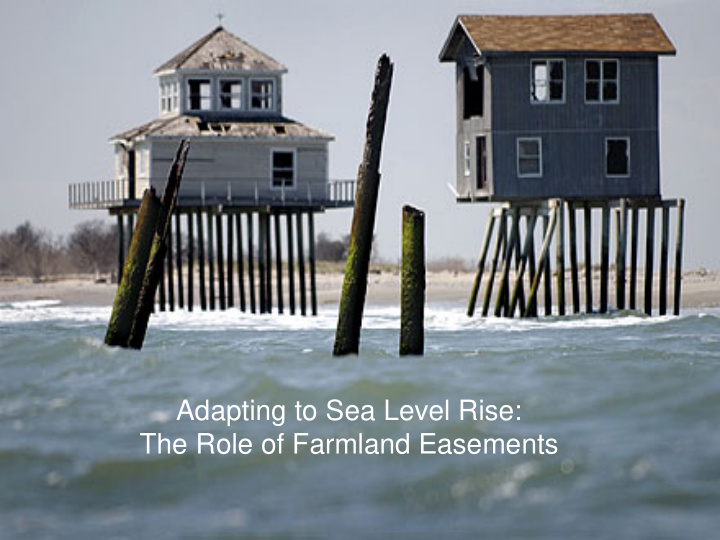 adapting to sea level rise the role of farmland easements