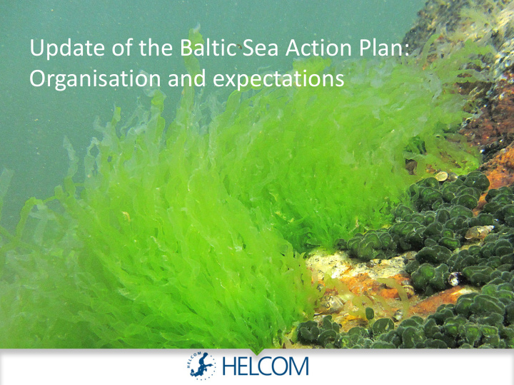 update of the baltic sea action plan organisation and