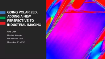 GOING POLARIZED:  ADDING A NEW  PERSPECTIVE TO  INDUSTRIAL IMAGING  Nina Chen  Product  Manager