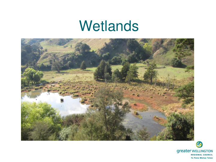 wetlands wetland definition new vs
