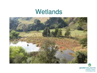 Wetlands Wetland definition  new vs  existing      Under the operative  PNRP has specific