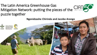 The Latin America Greenhouse Gas  Mit  itigation Network: putting the pie  ieces of  f the  puzzle
