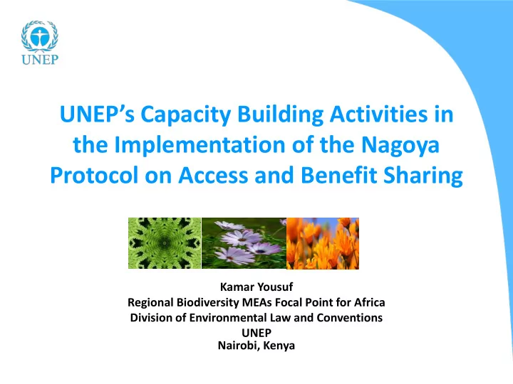 the implementation of the nagoya