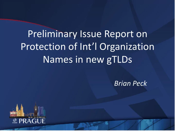 preliminary issue report on protection of int l