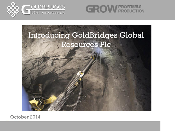 introducing goldbridges global