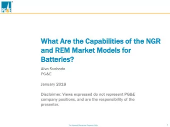 What Ar  Are th  e the  e Capa  pabilities o  of th  the N  e NGR  and R  REM M  Market M  Mod