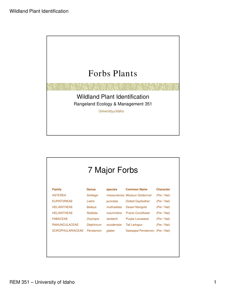 forbs plants