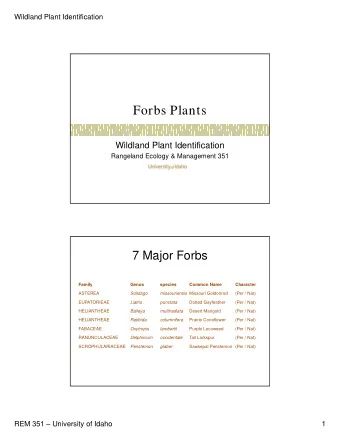Forbs Plants  Wildland Plant Identification  Rangeland Ecology &amp; Management 351  7 Major Forbs