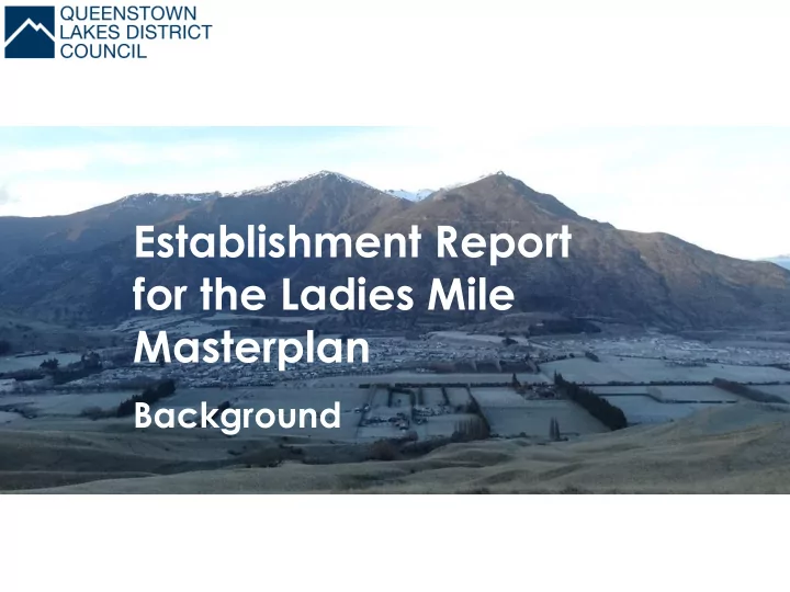 establishment report for the ladies mile masterplan