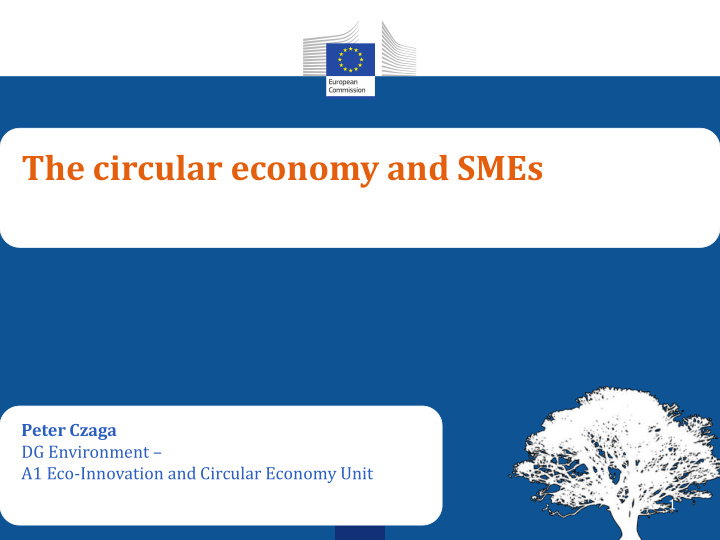 the circular economy and smes
