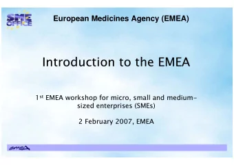 Introduction to the EMEA  Introduction to the EMEA st EMEA workshop for micro, small and medium- 1