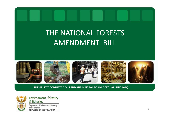 the national forests amendment bill