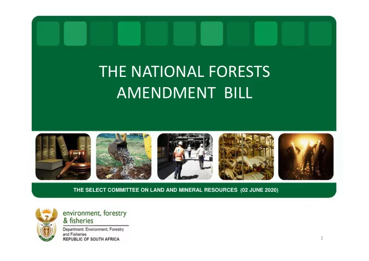 the national forests amendment bill