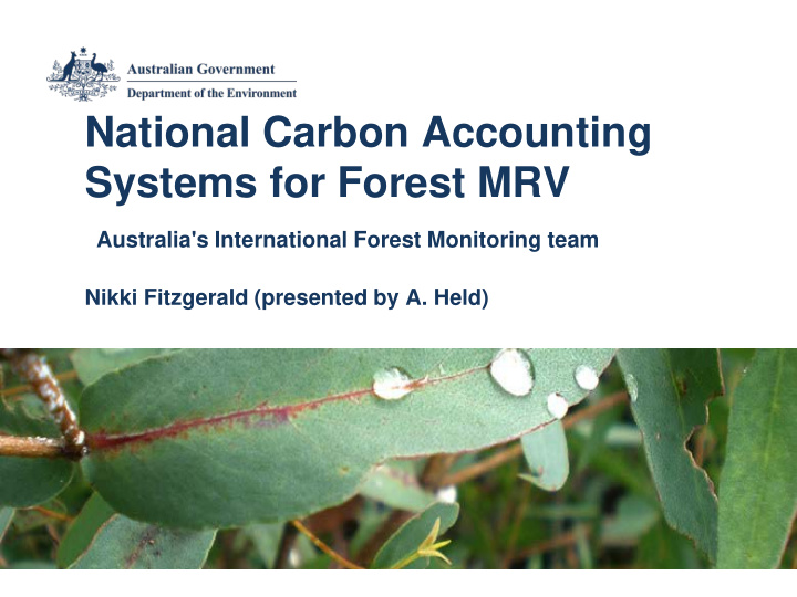 national carbon accounting systems for forest mrv
