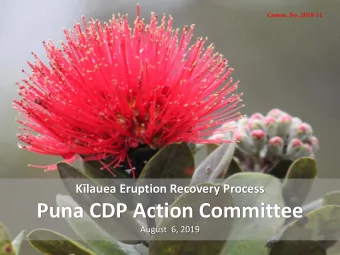 Puna CDP Action Committee  August  6, 2019  Role of the Action  Committee  County Code 16-6