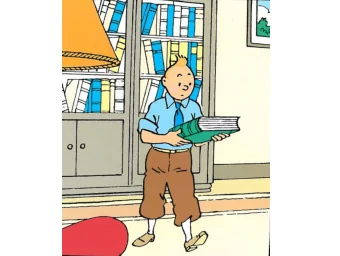 A GLOBAL VETERINARY  EDUCATION TO COPE WITH  SOCIETAL NEEDS  Prof. Paul-Pierre PASTORET  WORLD