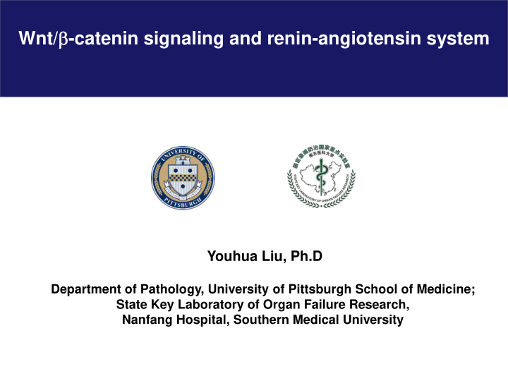 wnt b catenin signaling and renin angiotensin system