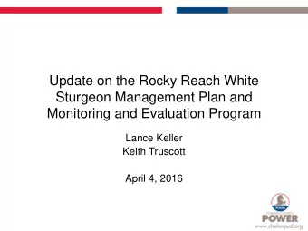 Update on the Rocky Reach White  Sturgeon Management Plan and  Monitoring and Evaluation Program