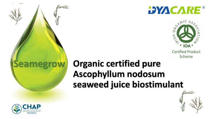 seaweed juice biostimulant what makes us different