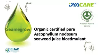 seaweed juice biostimulant  What makes us different?  Just 5 days after application on Wheat seeds