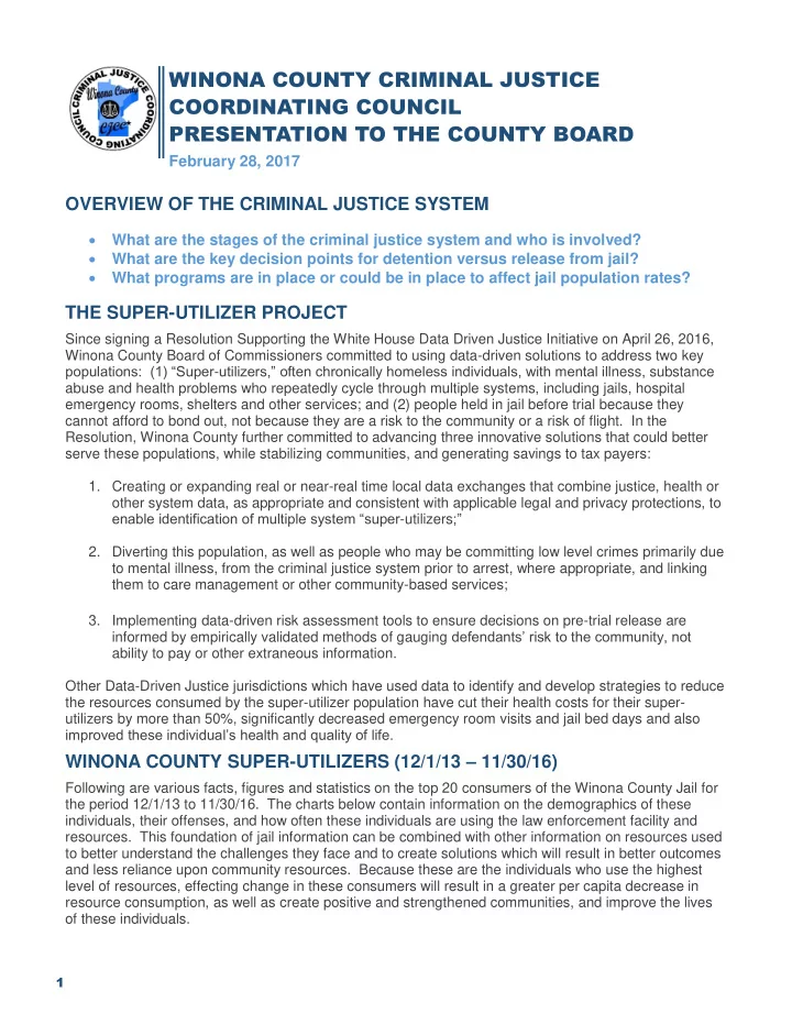 winona county criminal justice coordinating council