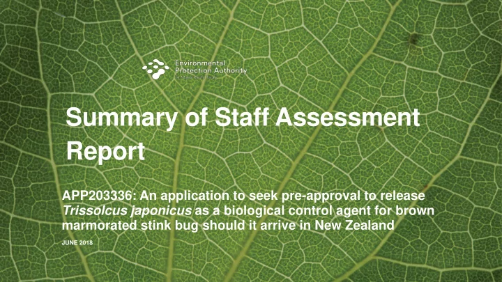 summary of staff assessment