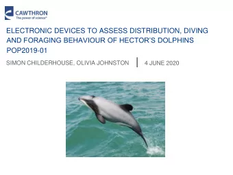 ELECTRONIC DEVICES TO ASSESS DISTRIBUTION, DIVING  AND FORAGING BEHAVIOUR OF HECTORS DOLPHINS