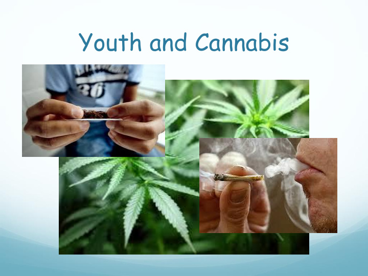 youth and cannabis teenage brain neurodevelopment