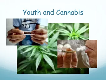Youth and Cannabis  Teenage Brain: Neurodevelopment  nnn  The Vulnerable Teenage Brain  The Teenage