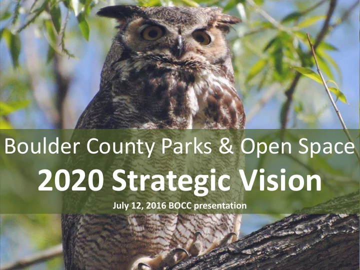 2020 strategic vision
