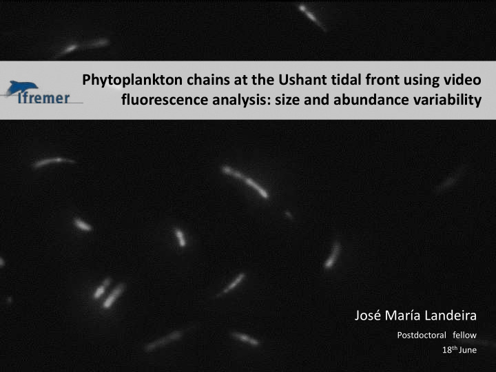 phytoplankton chains at the ushant tidal front using