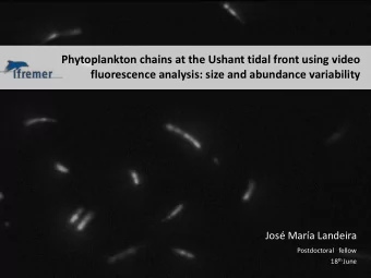 Phytoplankton chains at the Ushant tidal front using video fluorescence analysis: size and