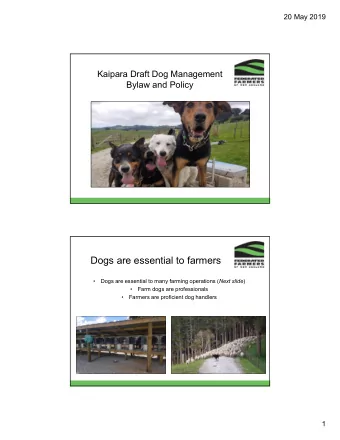 Dogs are essential to farmers   Dogs are essential to many farming operations ( Next slide )