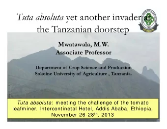 Tuta absoluta yet another invader at  the Tanzanian doorstep  Mwatawala, M.W.  Associate Professor