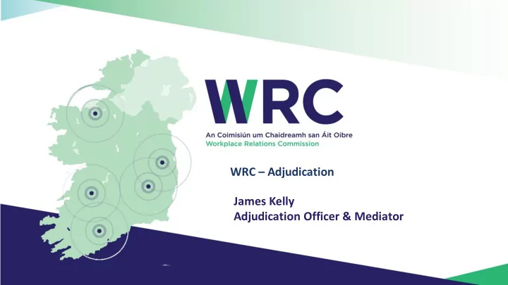 adjudication officer mediator