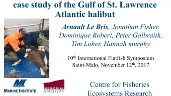 Tracking flatfish using electronic tags: the  case study of the Gulf of St. Lawrence  Atlantic