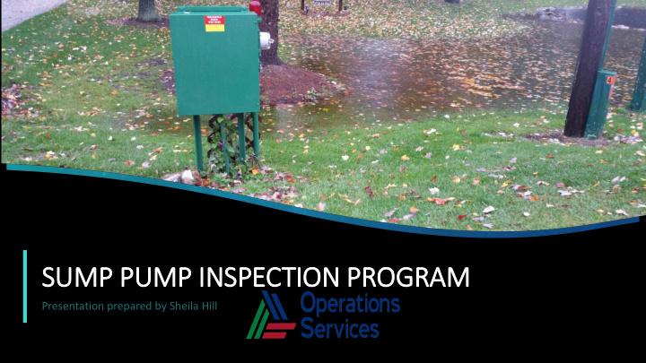 sump pump in inspection program