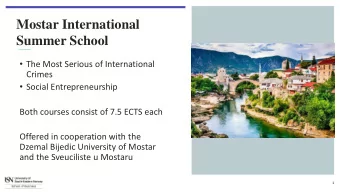 Mostar International  Summer School  The Most Serious of International  Crimes  Social