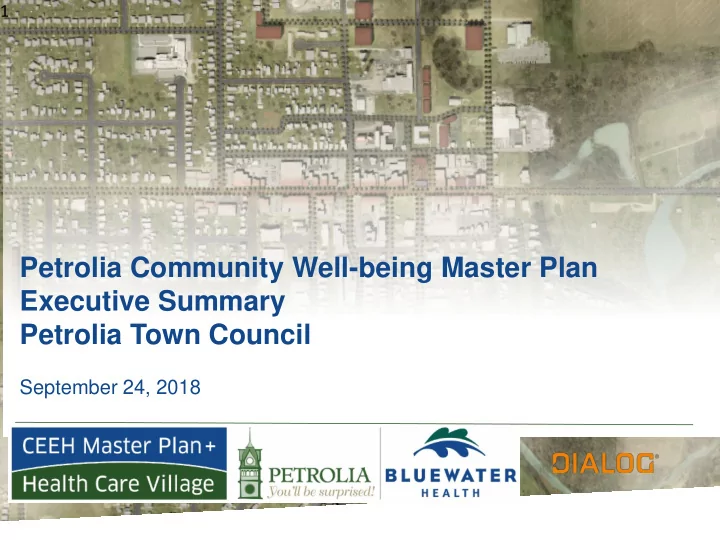 petrolia community well being master plan executive